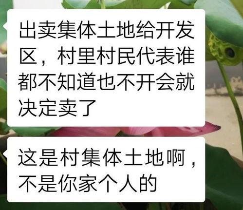 爆料视频集体土地 第2张 爆料视频集体土地 第2张