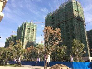 长春公馆爆料最新消息 第3张 长春公馆爆料最新消息 第3张