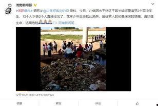 信阳学生家长爆料视频播放,校园安全问题引关注 第2张 信阳学生家长爆料视频播放,校园安全问题引关注 第2张